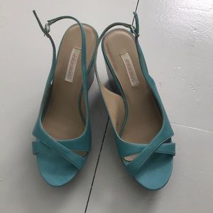 Teal wedges